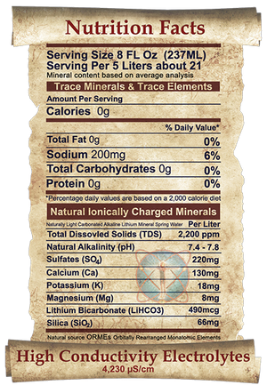 All-Natural Health Boosting Lithia Mineral Spring Water Shipped Fresh From Sacred Healing Spring Source to Your Home 5-LITERS 169 FL Oz.